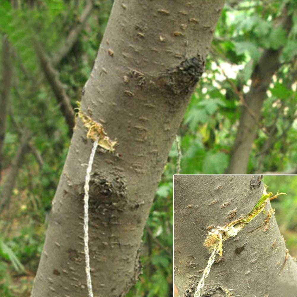 Portable Stainless Wire Survival Saw